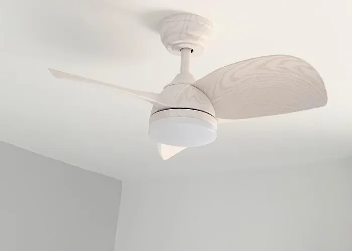 Oloroso Cerca Centro *